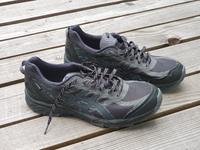 Asics Turnschuhe Gr. 44,5 - nahezu neuwertig Goretex Baden-Württemberg - Ravensburg Vorschau