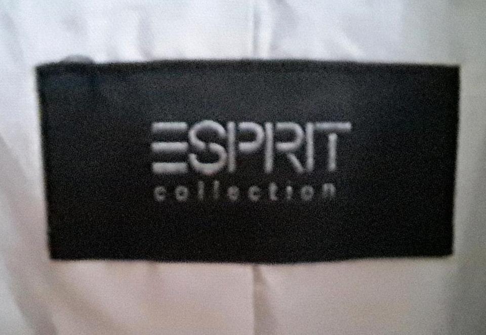 Esprit Collection Hosenanzug Blazer Hose creme beige Gr. 40 in Apensen
