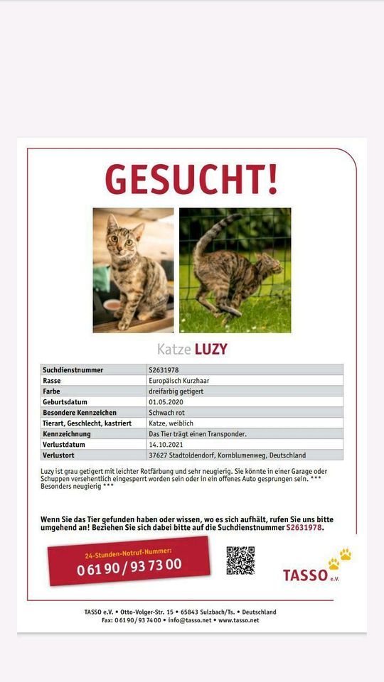 Wir vermissen unsere Katze !!! in Stadtoldendorf
