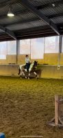 Reitbeteiligung auf tollem Pony Nordrhein-Westfalen - Harsewinkel Vorschau