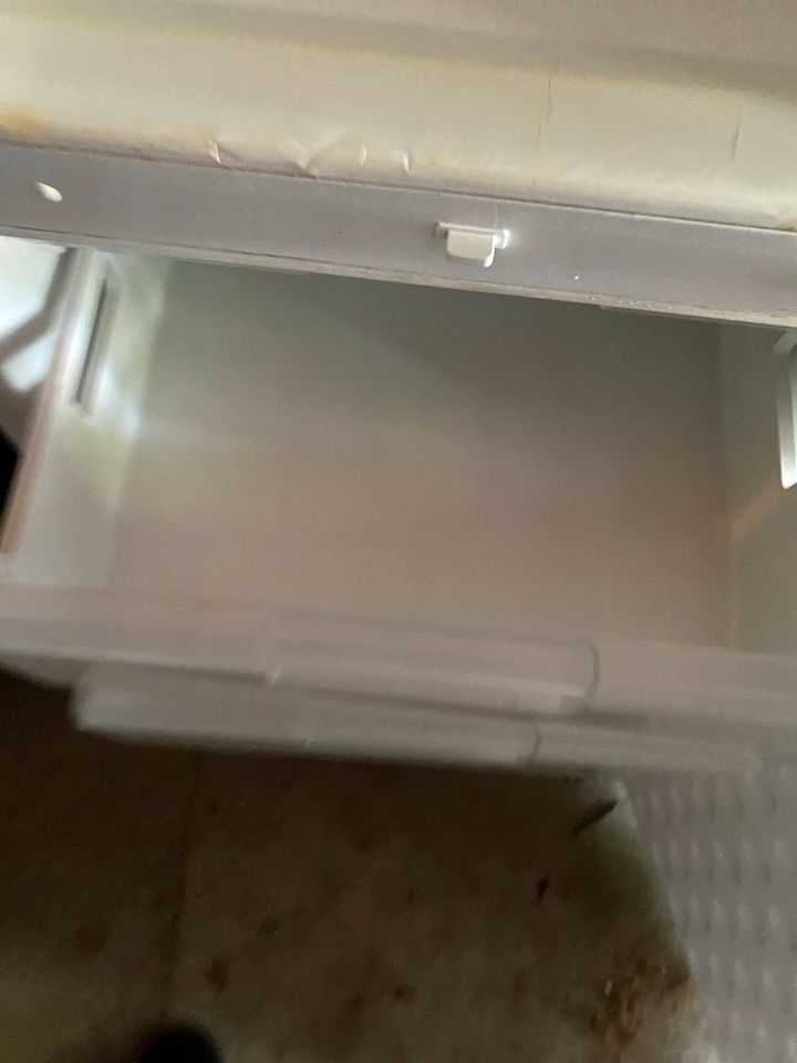 Simens Kühlschrank mit Gefrierschrank Kühl-gefrierkombi in Euskirchen