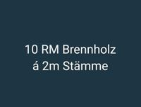 10 RM Raummeter Feuerholz á 2m - Brennholz Kaminholz Ofen Kamin Sachsen - Lohsa Vorschau