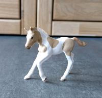 Schleich Paint Horse Fohlen Brandenburg - Cottbus Vorschau