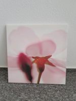 Bild rosa Blume auf Leinwand 55x55 cm Nordrhein-Westfalen - Detmold Vorschau