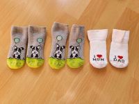 Baby Socken ca. Gr. 15-19 Mum Dad Hund Frottee Neugeborene Hamburg Barmbek - Hamburg Barmbek-Süd  Vorschau