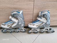 Fila Inlinskates Größe 41 Brandenburg - Fürstenwalde (Spree) Vorschau