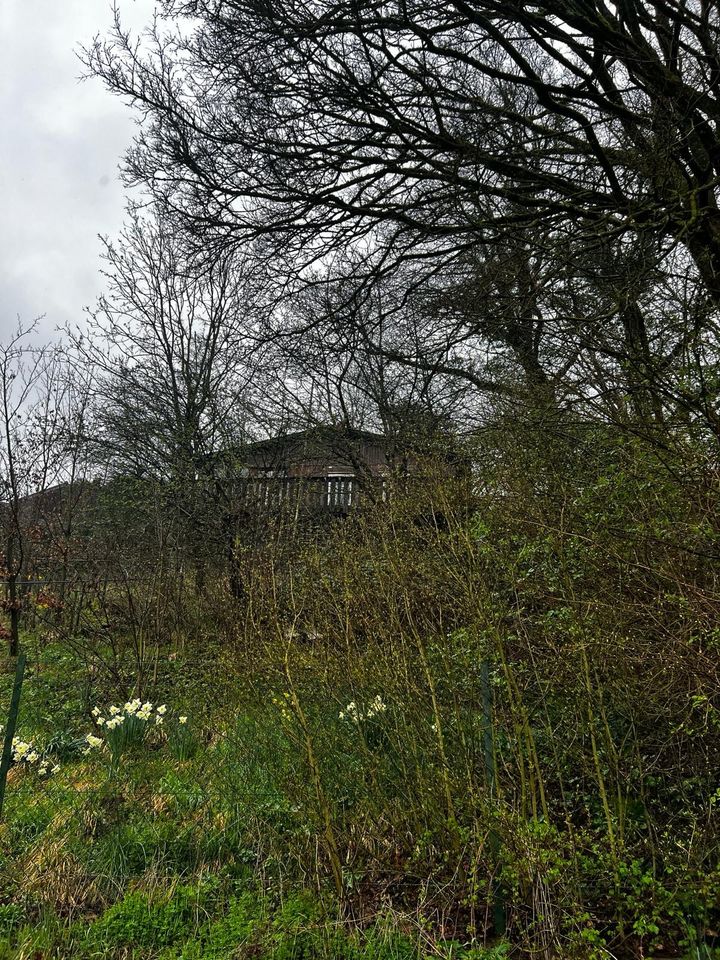 Wochenendhaus mit großem Grundstück in Eschershausen