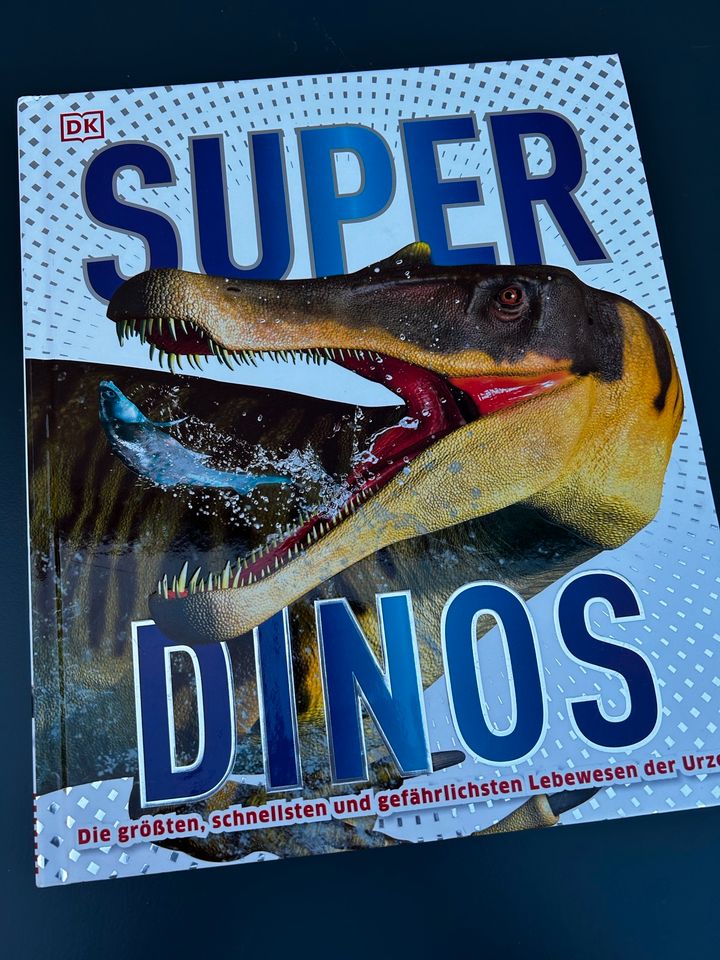Dinosaurierbuch in Newel