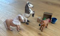 Schleich - Mini Shetty Familie & Mädchen mit Pfohlen Brandenburg - Schönwalde-Glien Vorschau