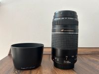 Canon EF 75-300 mm 1:4-5.6 IS USM Objektiv Sachsen-Anhalt - Wettin-Löbejün Vorschau