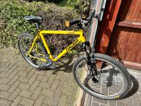 FACER Comp Mountainbike SONDERANFERTIGUNG Gelb Shimano Deore LX Nordrhein-Westfalen - Raesfeld Vorschau