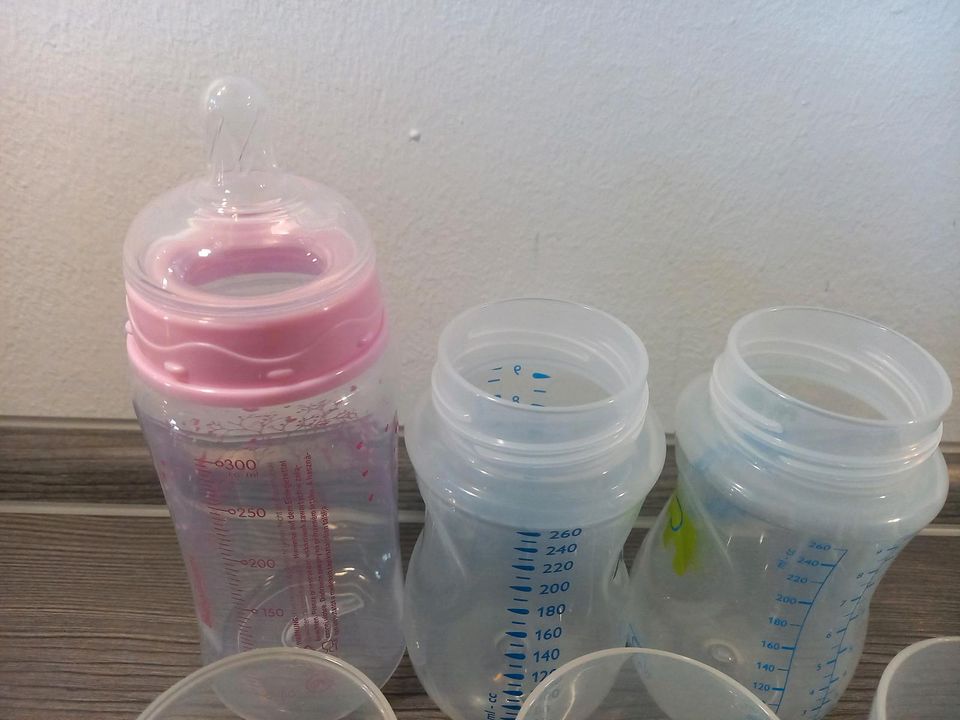 Philips Avent Natural Babyflaschen 14 Stk + 1 andere in Oelsnitz/Erzgeb.