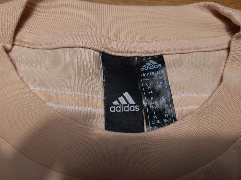 Adidas T-Shirt/Sportshirt beige/cappuccino,  Gr. XS (Gr.34) in Dresden