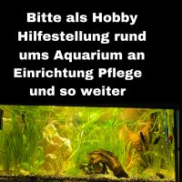 Hilfestellung bei Aquarien Dortmund - Rahm Vorschau