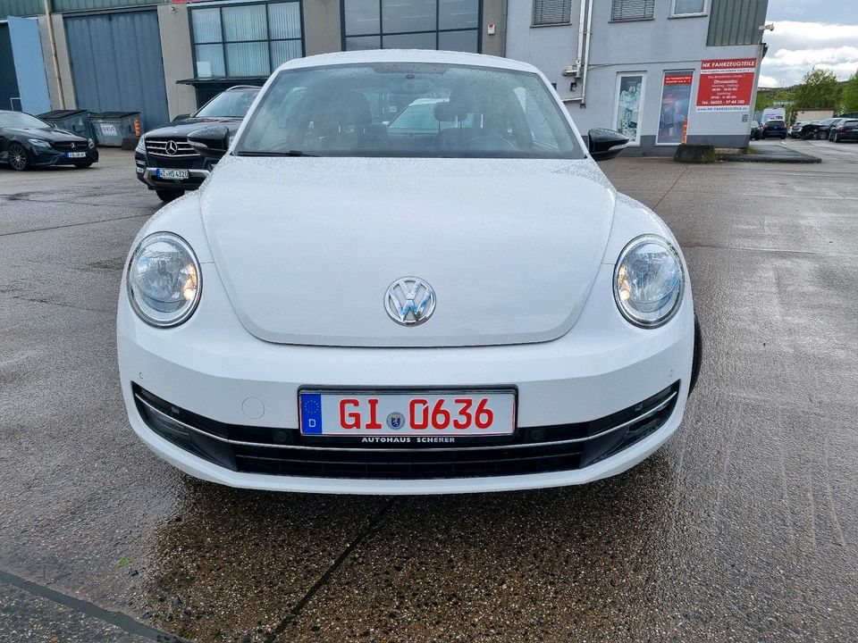 Volkswagen Beetle Sport, Sitzheizung, Leder, Finanzierung 5% in Gießen