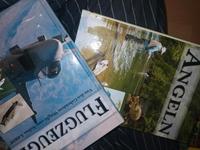 Flugzeug und Angel Bücher Paket. Thüringen - Mengersgereuth-Hämmern Vorschau