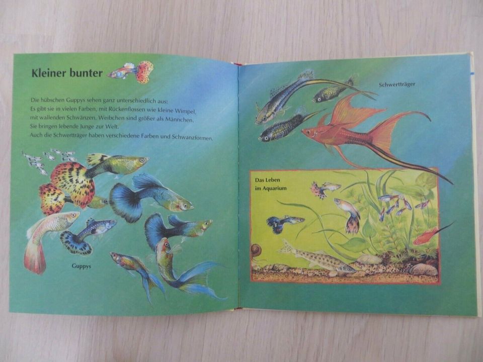Kinderbuch:Hamster,Katze, Hund und Co in Welfesholz
