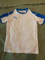 Puma Shirt 164 Hessen - Fritzlar Vorschau