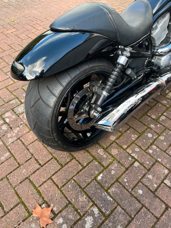 Harley Davidson V-rod in Hildesheim