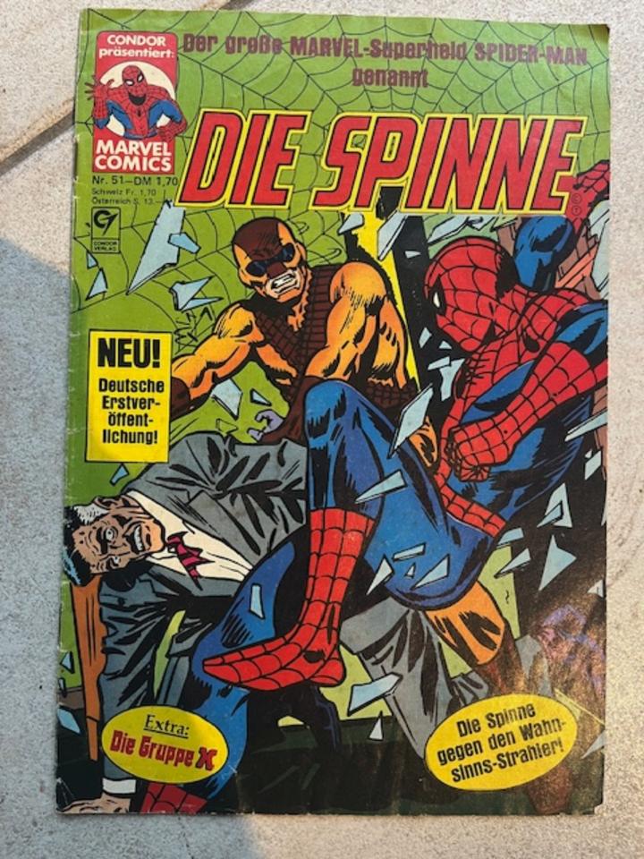 Comics Sammlung Die Spinne, Superman, Gerechtigkeitsliga in Warberg