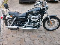 Harley Davidson XL 1200 Sportster Bayern - Burglengenfeld Vorschau