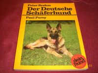 Der deutsche Schäferhund Hessen - Heppenheim (Bergstraße) Vorschau