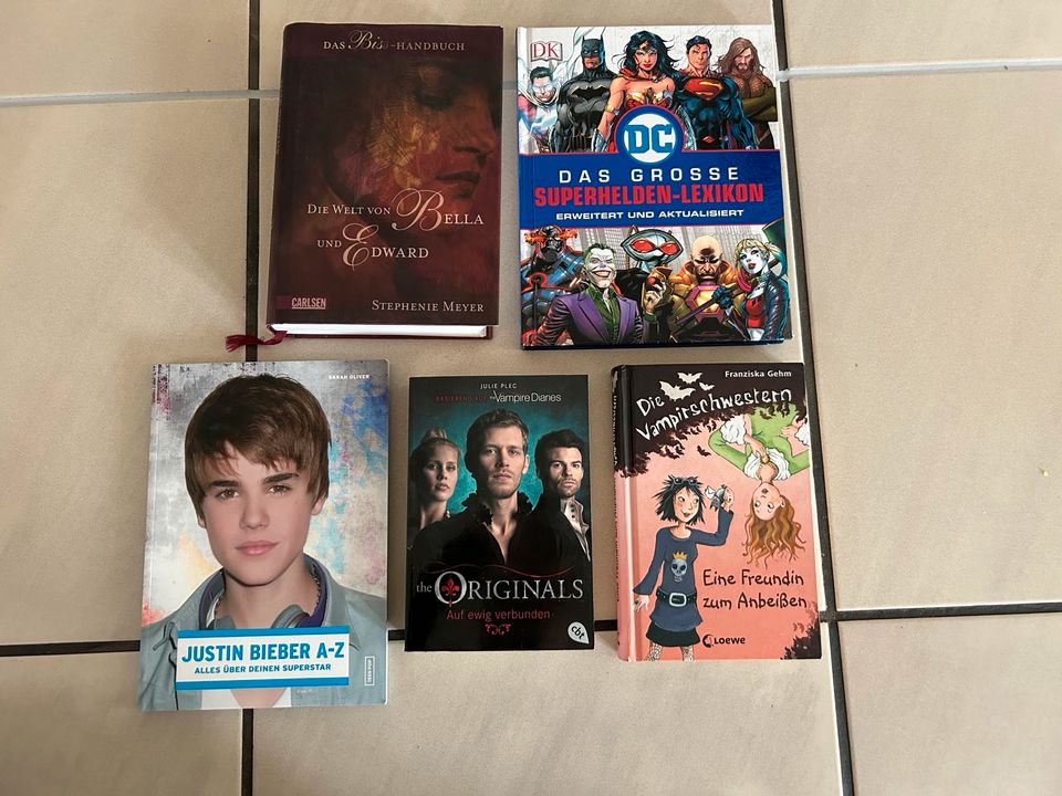Verschiedene (Fan-) Bücher in Blaubeuren