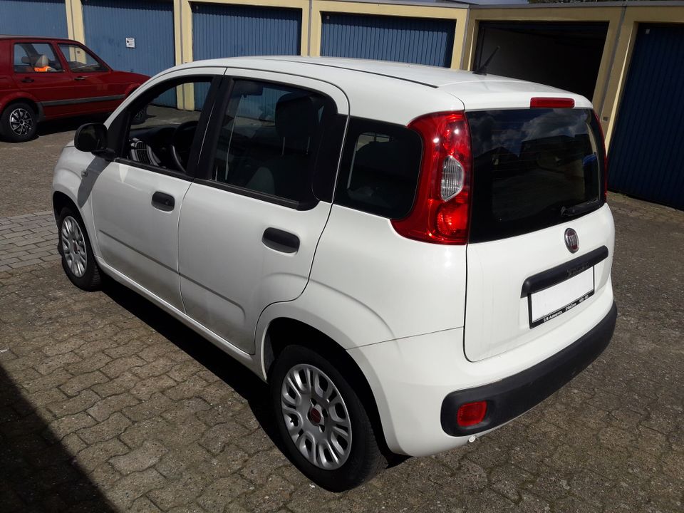 Fiat Panda 1,2 ,Klima ,GJR, PDC in Zeven