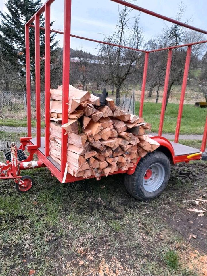 Brennholz frisch oder trocken in Schorndorf