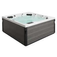 AWT IN 401 basic Whirlpool Swim Spa Sterling Silver 200x200 grau Bayern - Bad Kissingen Vorschau