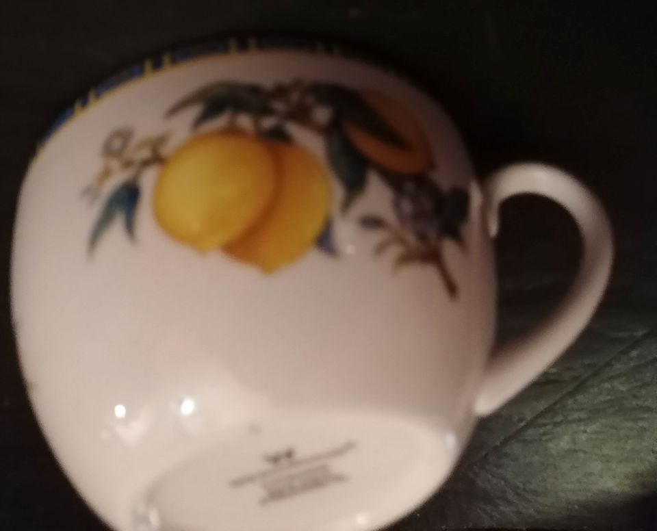 WEDGWOOD CITRONS Teetasse + Untertasse w NEU Vitrine in Karlsruhe