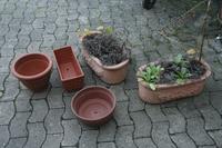 Größere Ton Pflanzgefäße, auch lasierte Töpfe sind dabei.... Niedersachsen - Hildesheim Vorschau