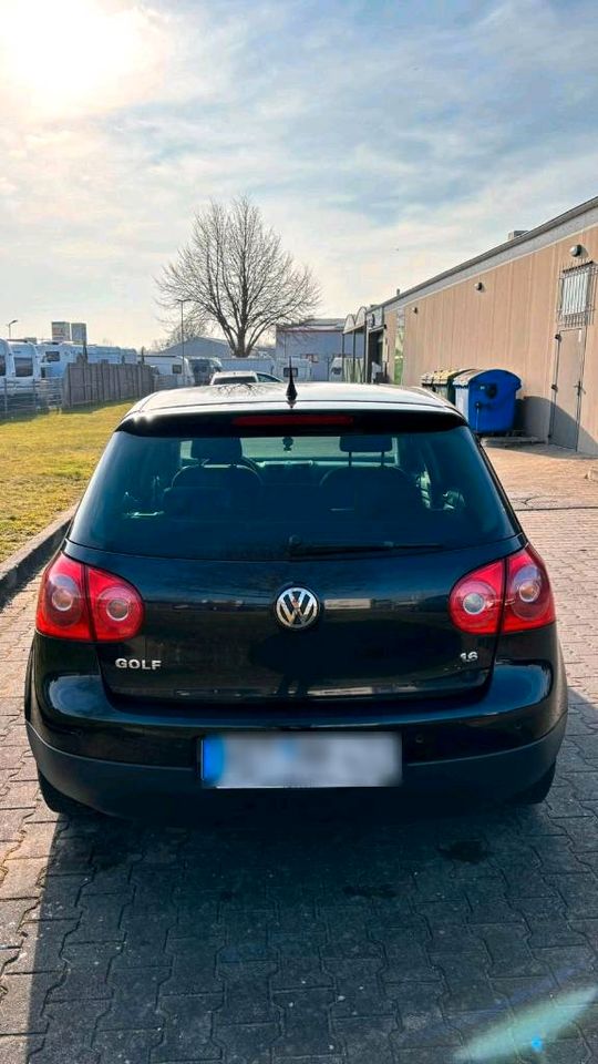 Volkswagen im guten Zustand in Stralsund