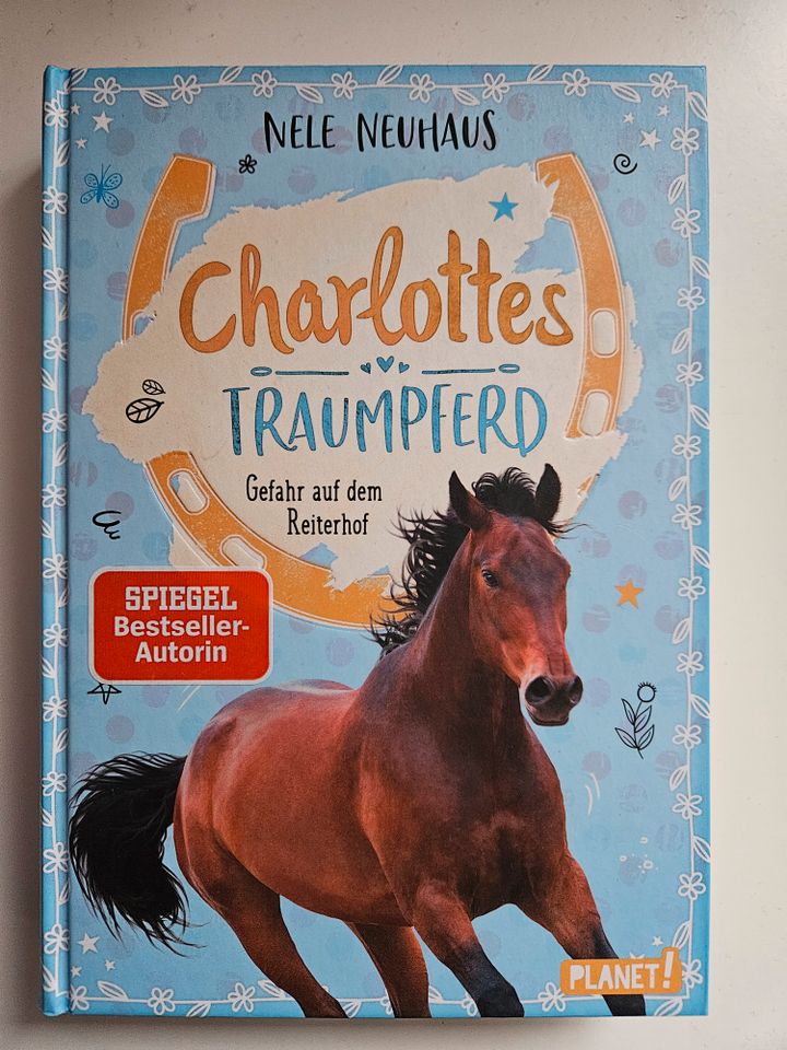 Buch: Charlottes Traumpferd Band 1-6, neuwertig in Kiel