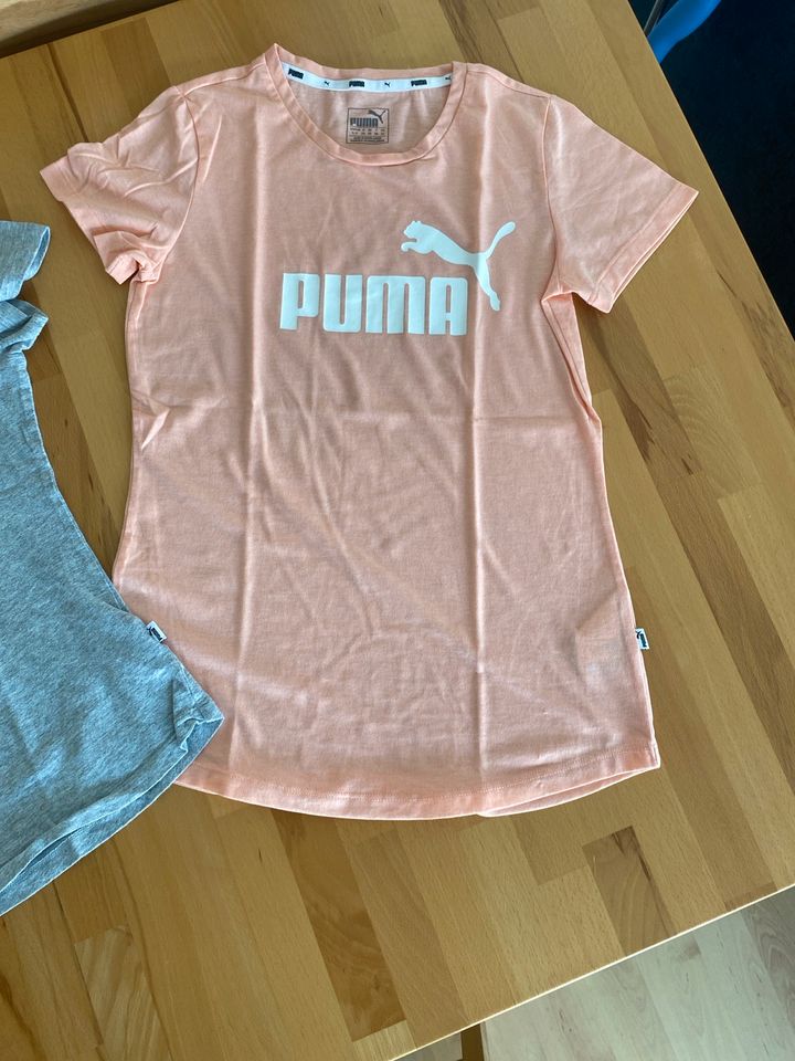 Marken T-shirts, Sportshirts, Puma, TOP in Frechen