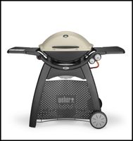 Weber Q 3000 Titanium mobiler Gasgrill Camping Garten Dortmund - Brackel Vorschau