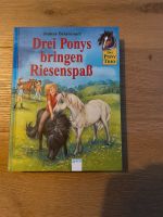 Pferdebuch „Drei Ponys bringen Riesenspaß“ Niedersachsen - Buchholz in der Nordheide Vorschau