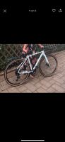 Gravel Fahrrad unisex Baden-Württemberg - Friedrichshafen Vorschau