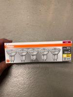 LED-Lampen im 5-er Pack 4,3 W (entspr. 50W) Neuhausen-Nymphenburg - Neuhausen Vorschau