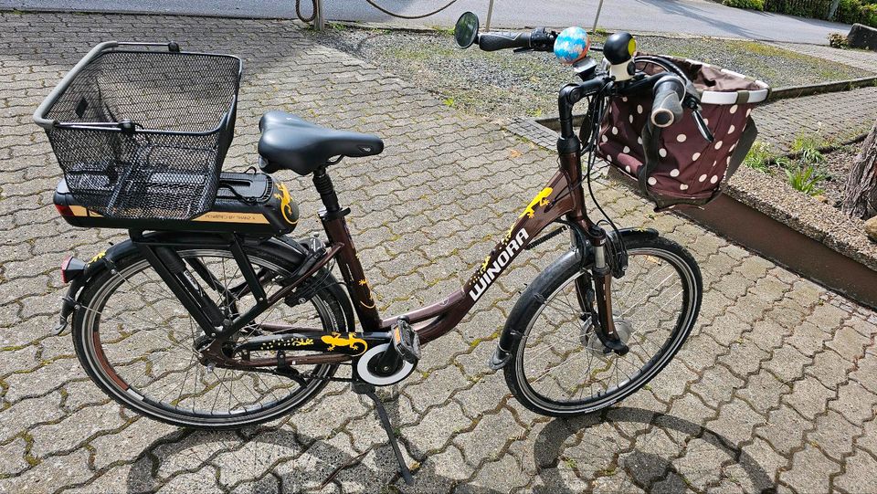 Ebike E-Bike Damen Winora in Arnsberg