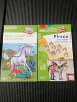 Mini lük Kasten 2x Einhorn lesen lernen erstes rechnen top Hamburg - Bergedorf Vorschau