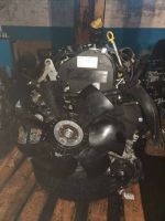Motor Iveco Daily 35S14 2.3 HPI F1AGL411J 136PS 19bj komplett Berlin - Wilmersdorf Vorschau