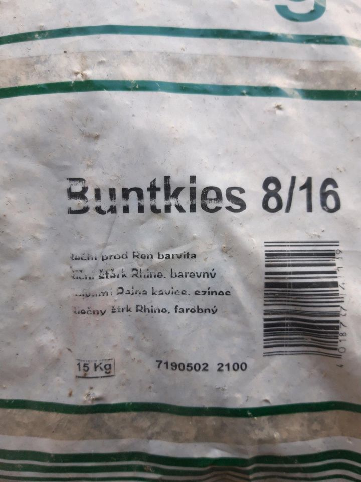 Zierkies / Buntkies in Bernau