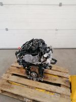 MOTOR CFH 2.0 TDI AUDI VW KOMPLETT Nordrhein-Westfalen - Ratingen Vorschau