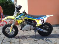 Speedex MX 50 4T Kindermotorrad Cross Mini Dirtbike ab 5 Jahre Sachsen-Anhalt - Halle Vorschau