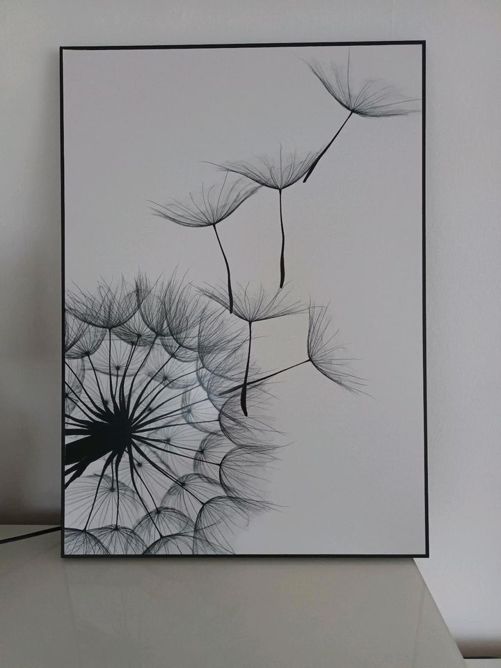 Bild schwarz weiß 50x70x2 cm in Holzwickede