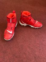 Nike Fast Flex Force Baseball Schuhe, 38,5, wie neu Pankow - Prenzlauer Berg Vorschau