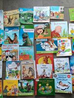 Pixi und Minibücher je 20cent Niedersachsen - Hohenhameln Vorschau