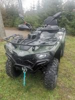 Quad Atv Cfmoto cforce 450 Dlx Lof Eps Thüringen - Waltershausen Vorschau