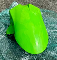 ZX 10 R 2006-2007 Frontfender Nordrhein-Westfalen - Mettmann Vorschau